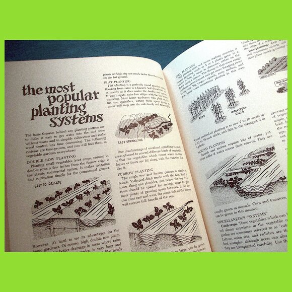 Book: Vegetable Gardening by Sunset Books, Vintage - Picture 4 of 16